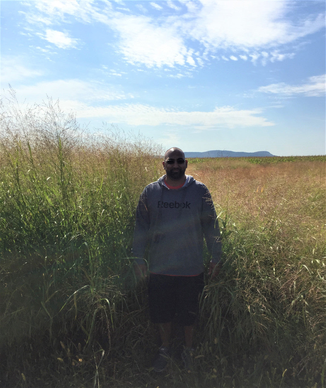 RC Big Rock Switchgrass Seed (Panicum virgatum)