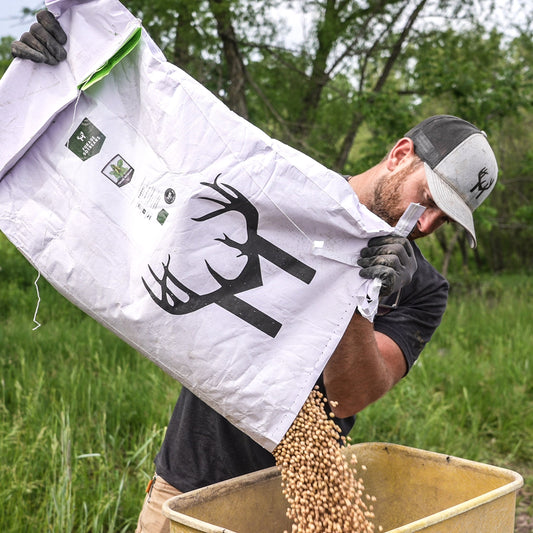Forage Soybean Blend
