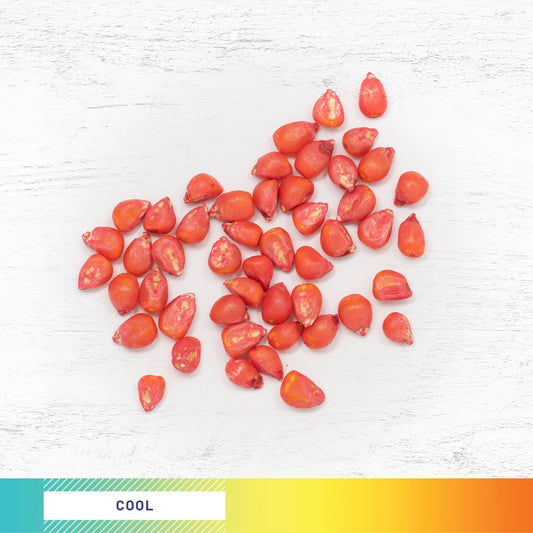 Monsterbuck Conventional Wildlife Seed Corn