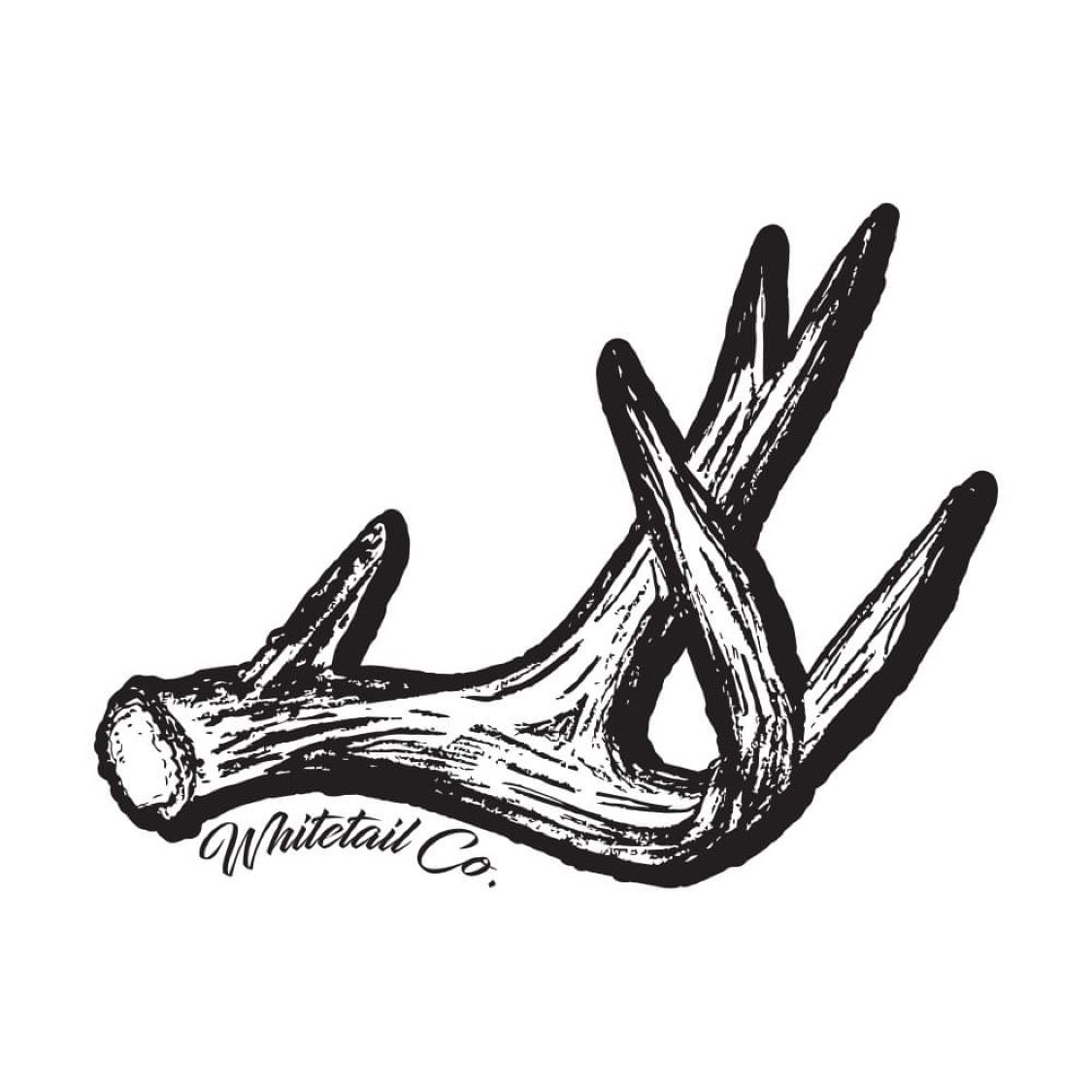 Whitetail Co. Shed Antler Decal 3”