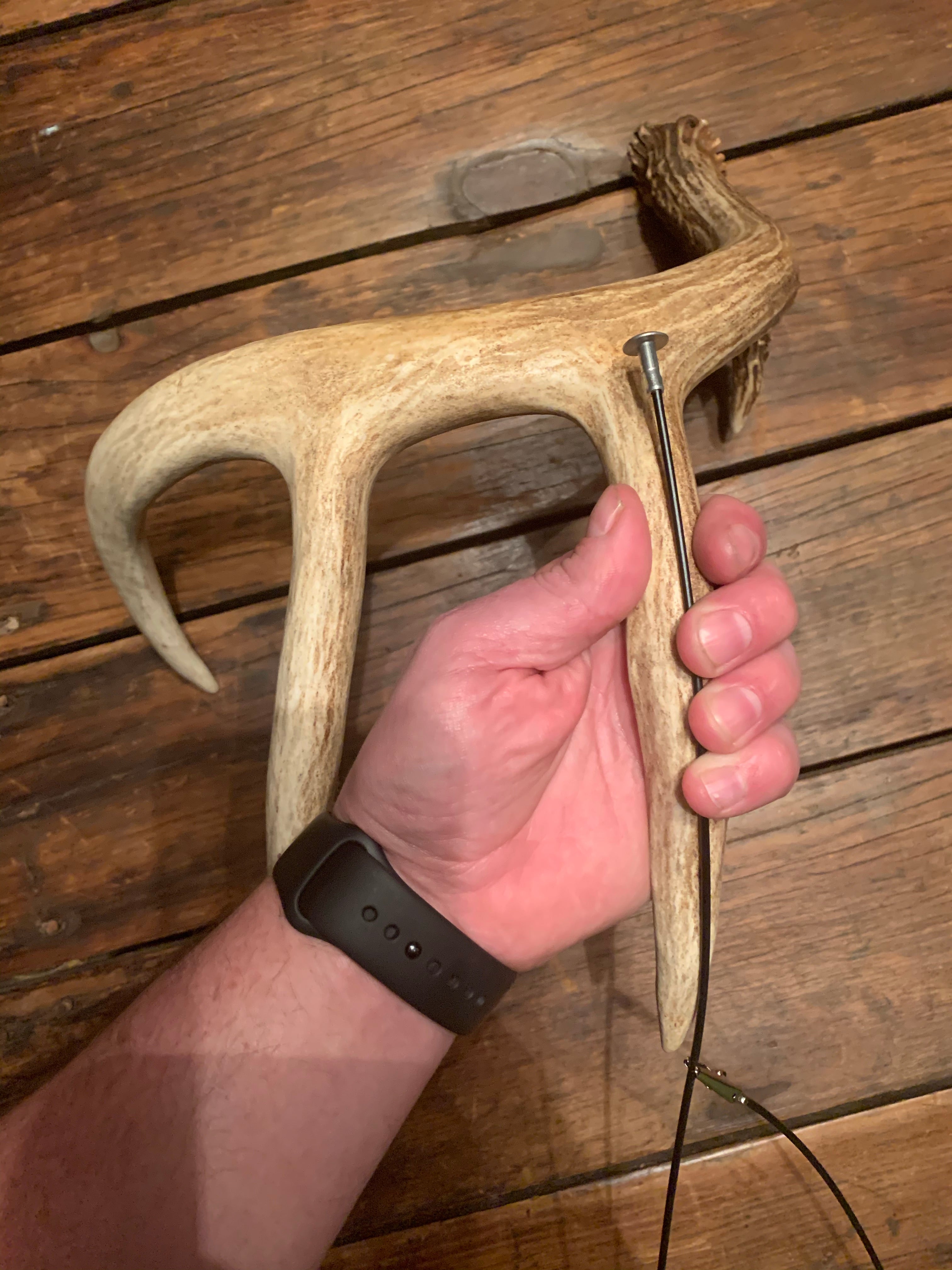 Whitetail Co. Antler Scoring Cable Whitetail, Muley, Elk and More