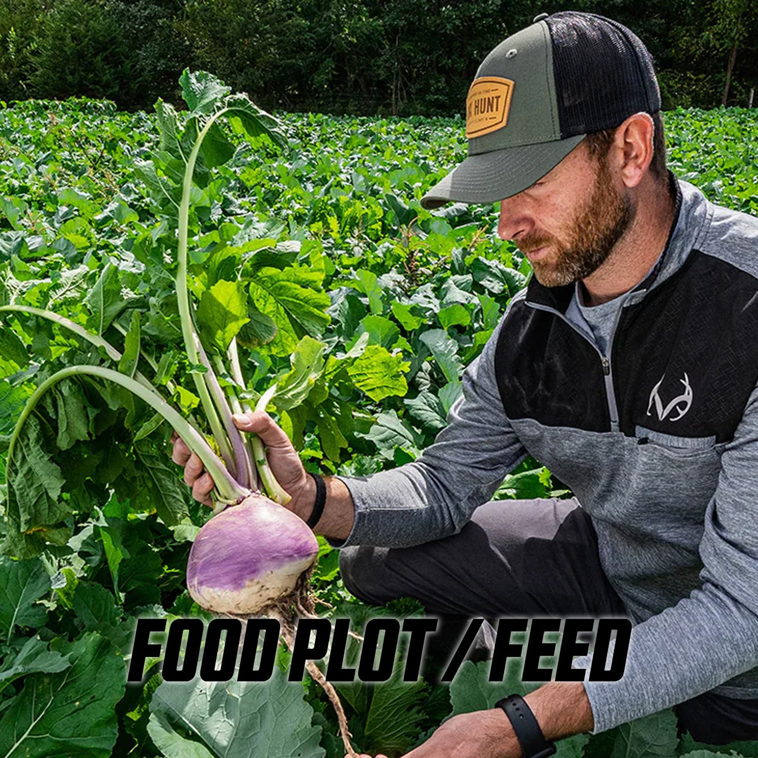 Food Plot / Feed