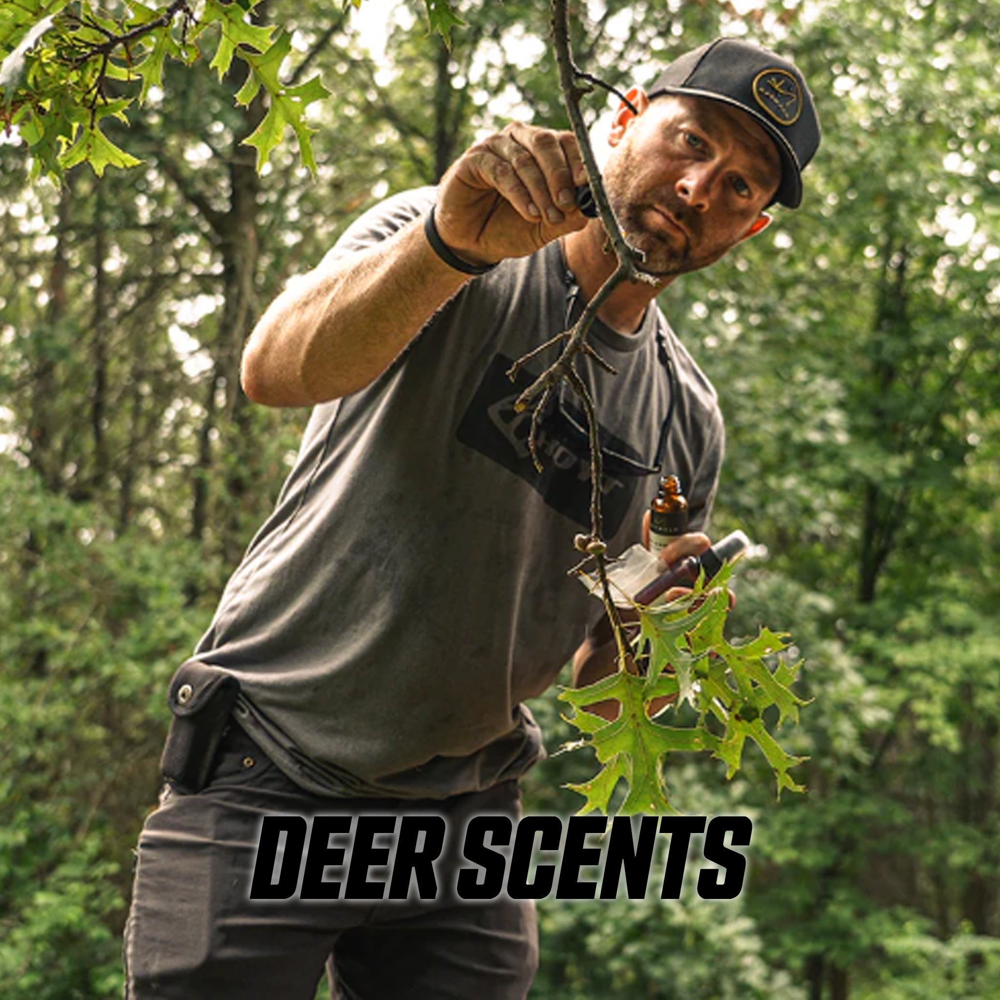 DAYWALK Deer Scents