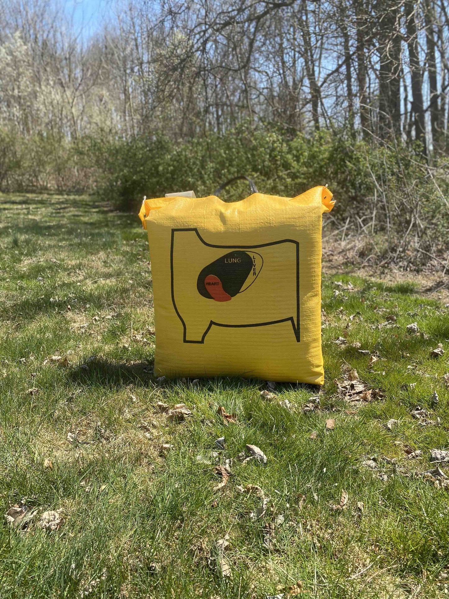 Ballistic 350 Archery Bag Target