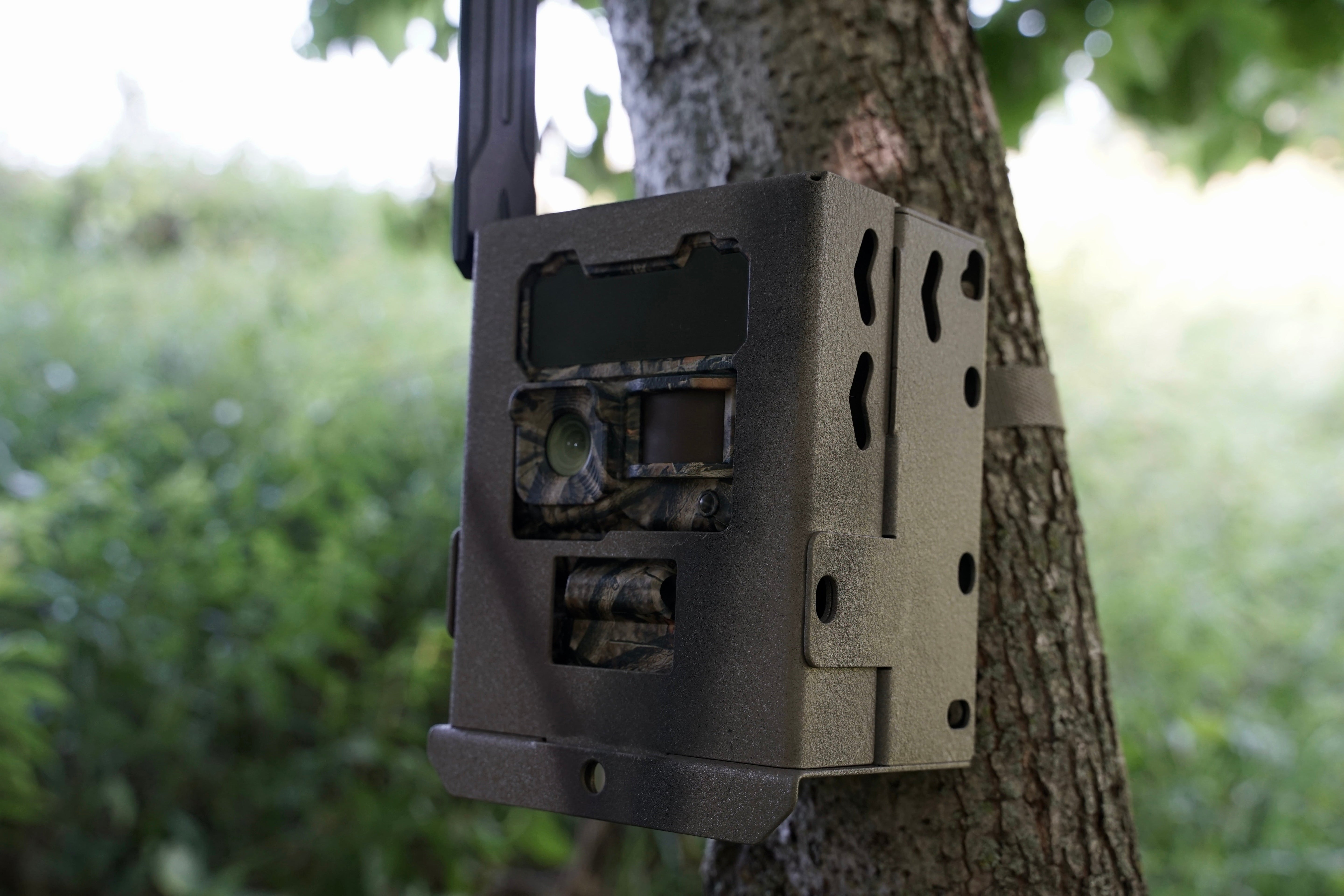 Y2 Bear Box