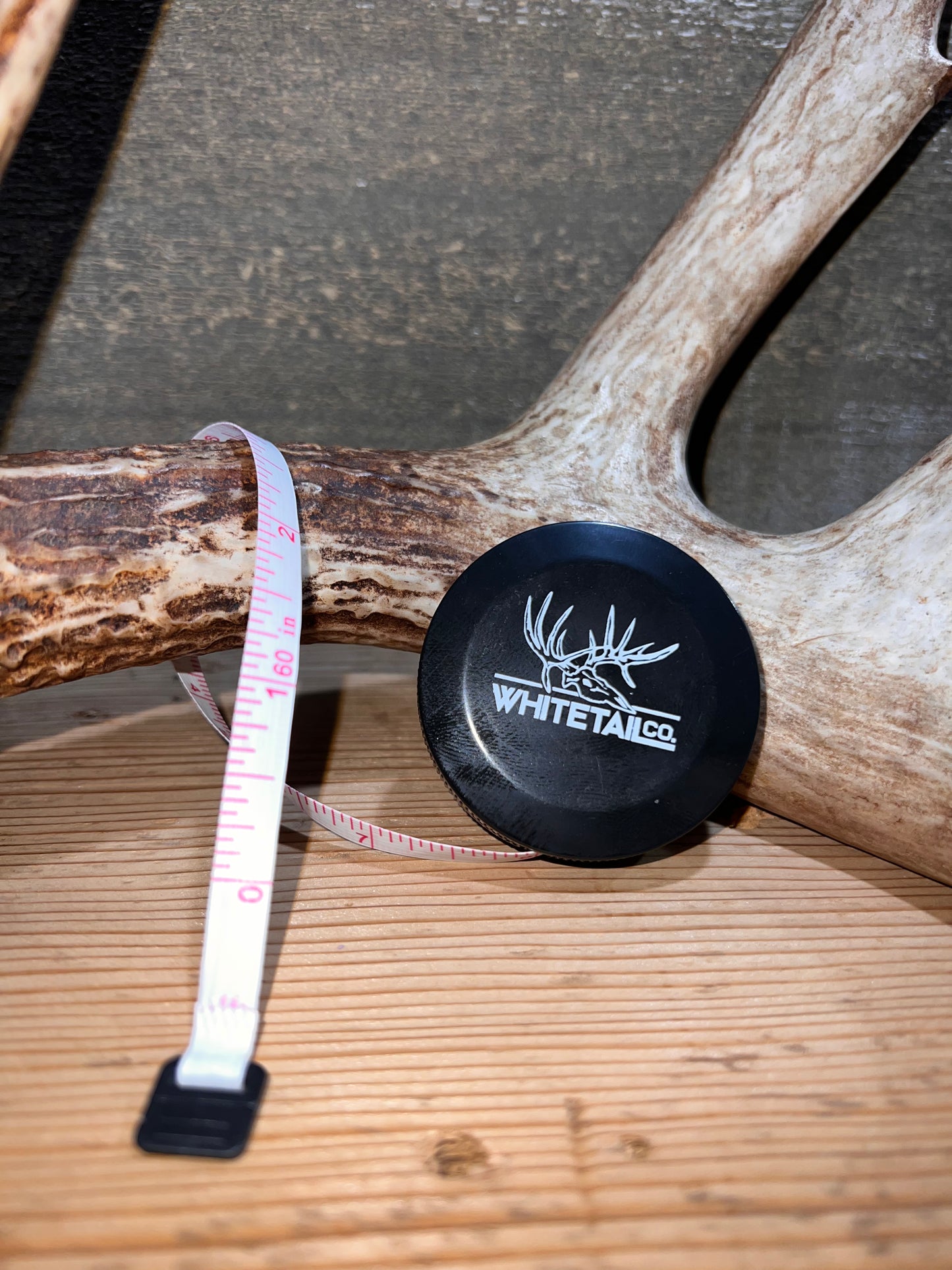 Pre-Order New 2025 Whitetail, Elk and Antelope Antler Score Kit ...