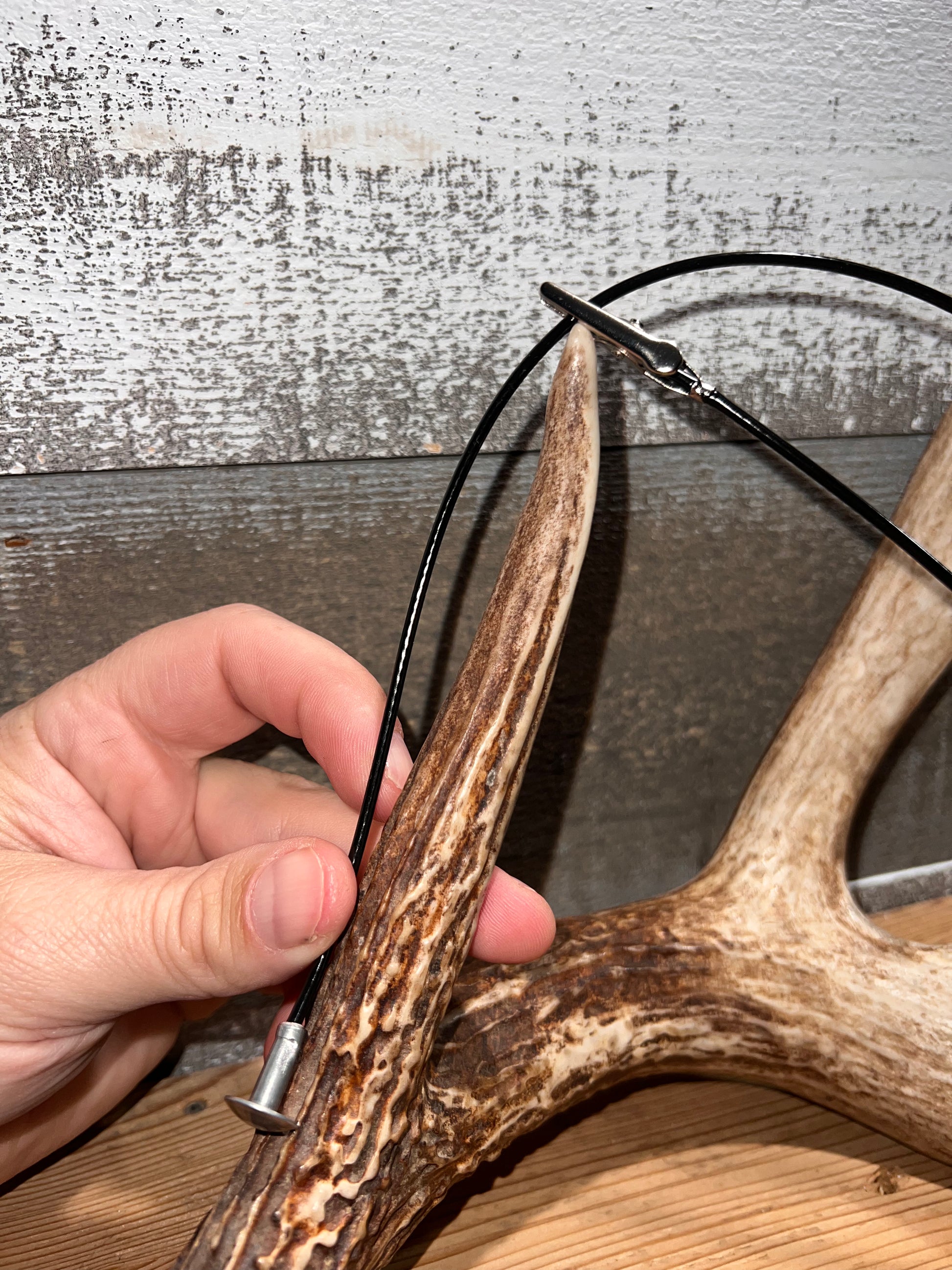 Pre-Order New 2025 Whitetail, Elk and Antelope Antler Score Kit ...