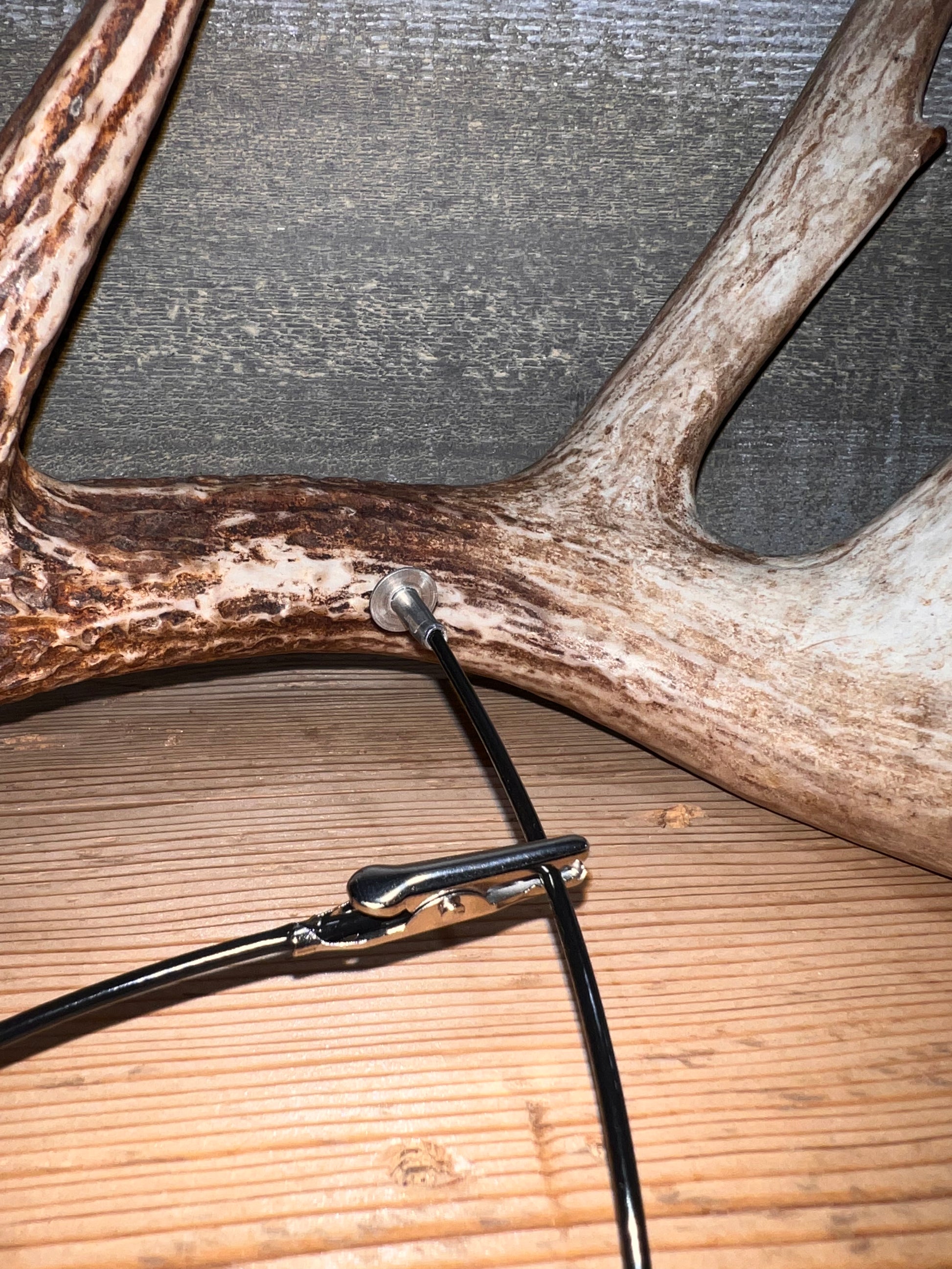Whitetail Company Antler Scoring Cable