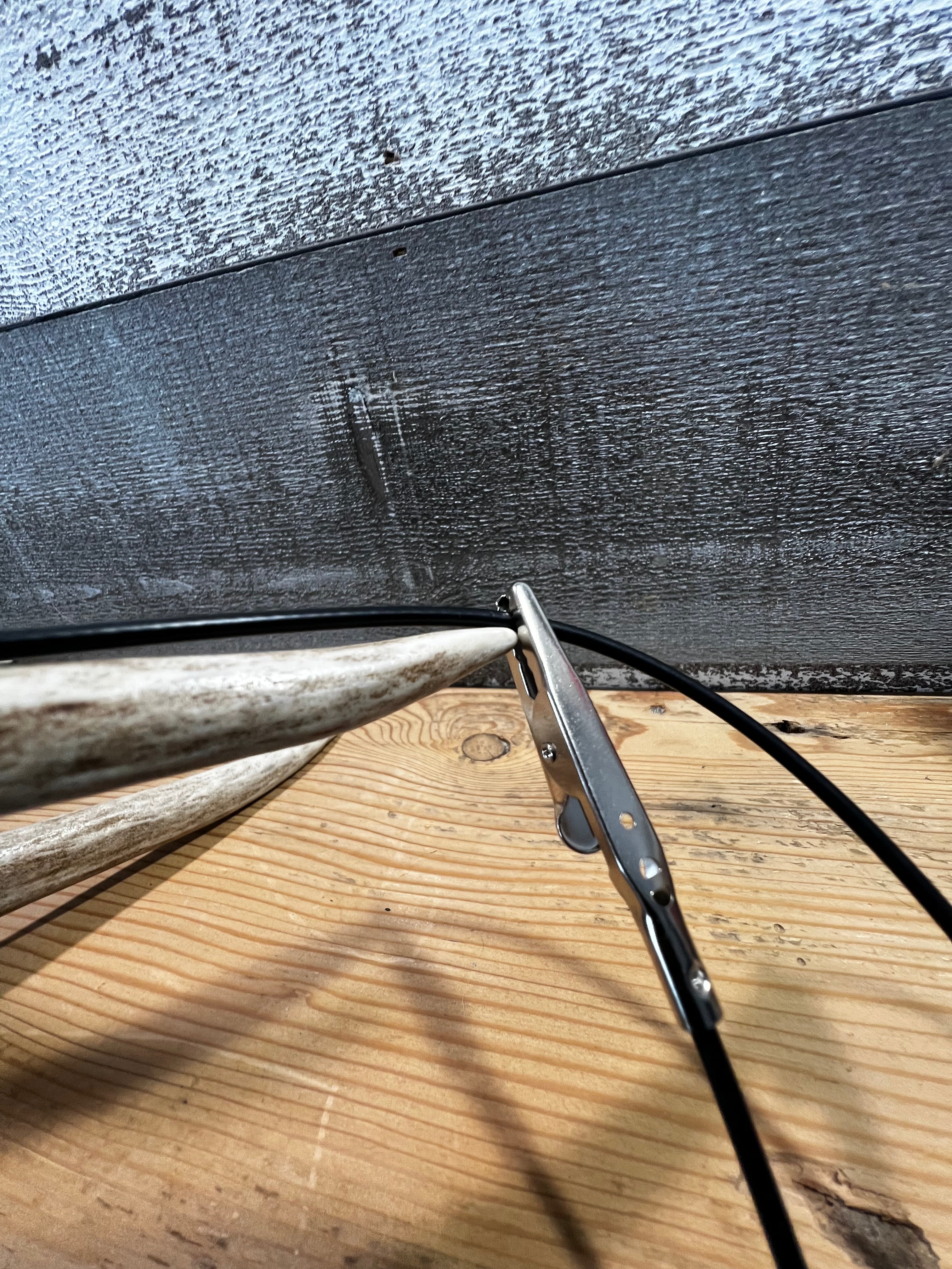 Whitetail Co. Antler Scoring Cable Whitetail, Muley, Elk and More