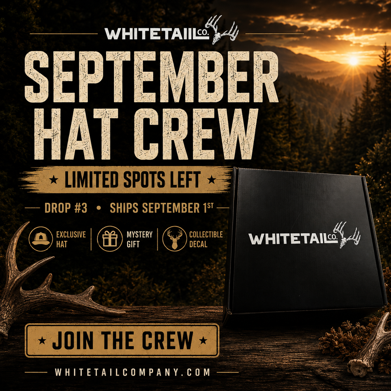 Whitetail Co. September  26  Hat Crew   [VERY LIMITED]