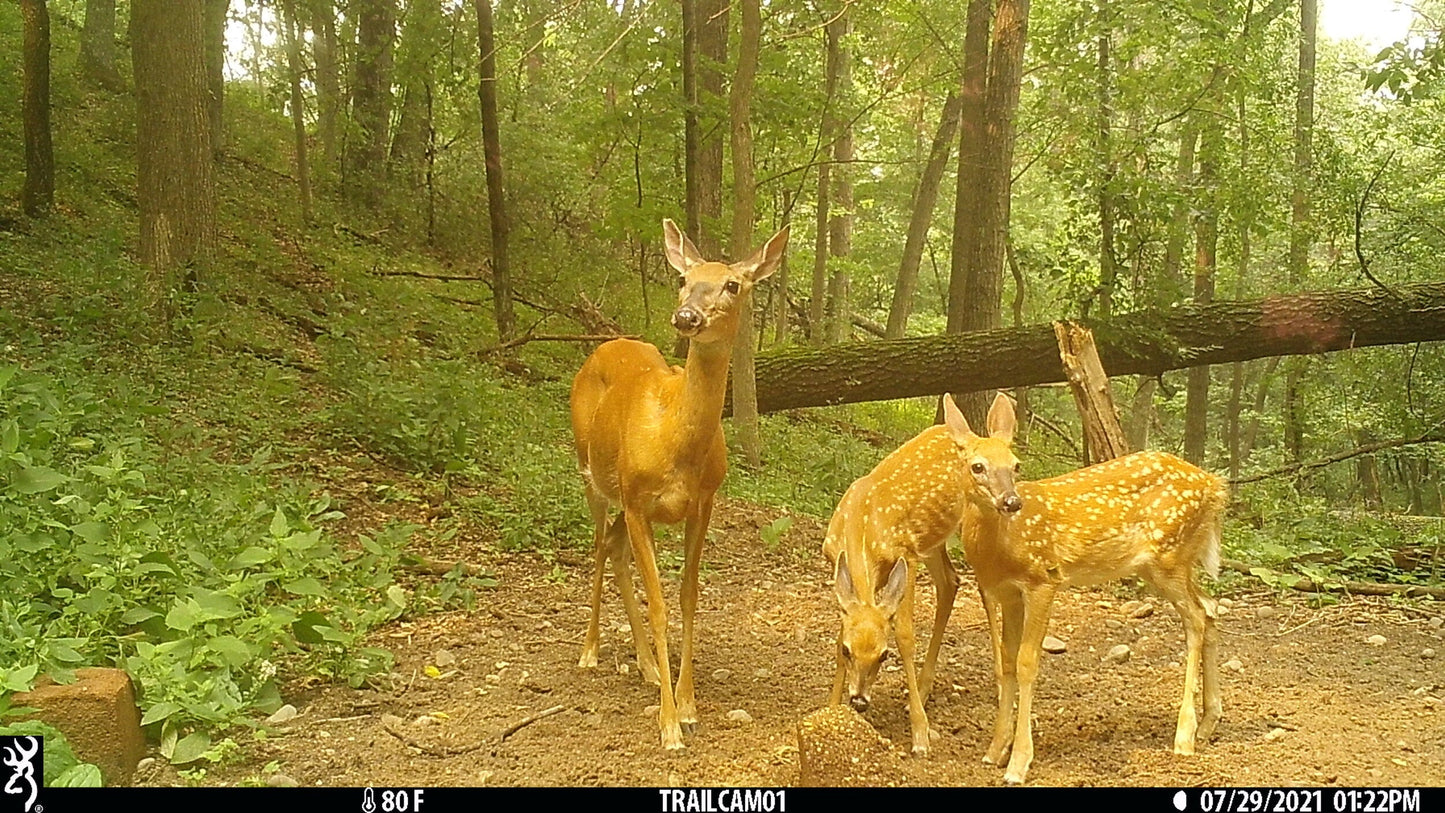 Stockpile™ Deer Block