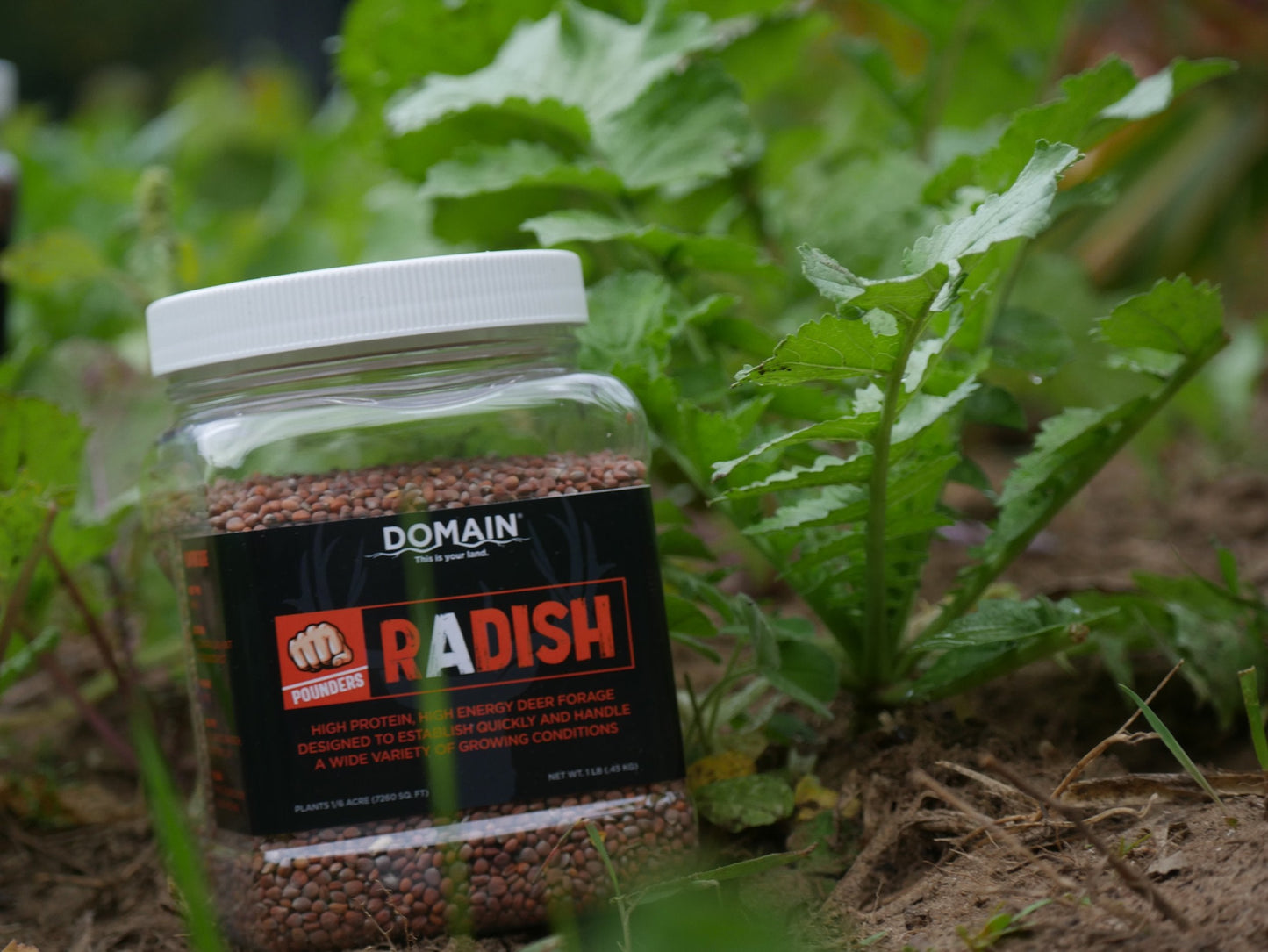 Domain Pounder - Radish