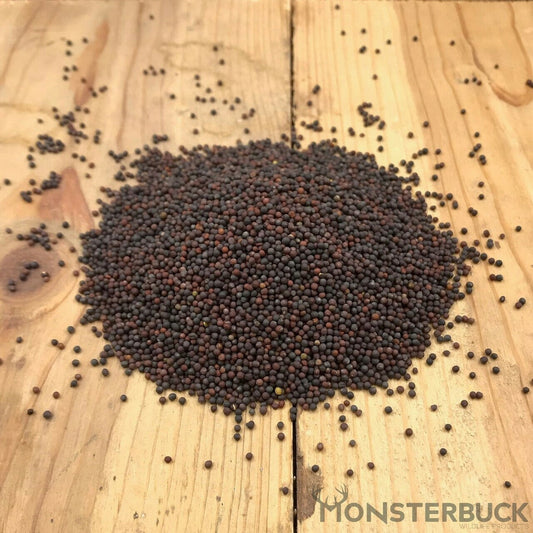 Forage Kale Food Plot Seed