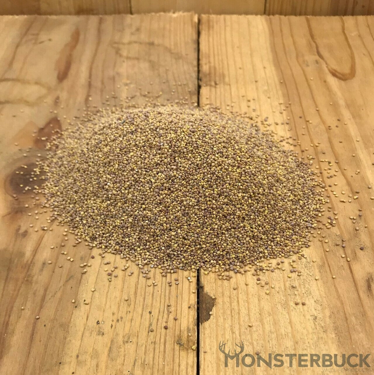 Ladino White Clover Food Plot Seed
