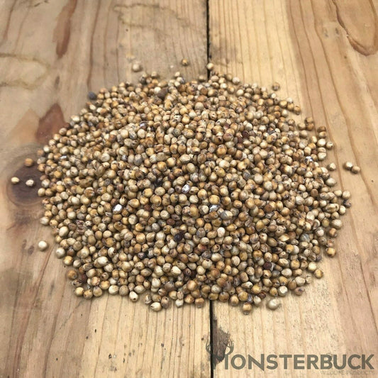 Grain Sorghum Seed (A.K.A Red Milo)
