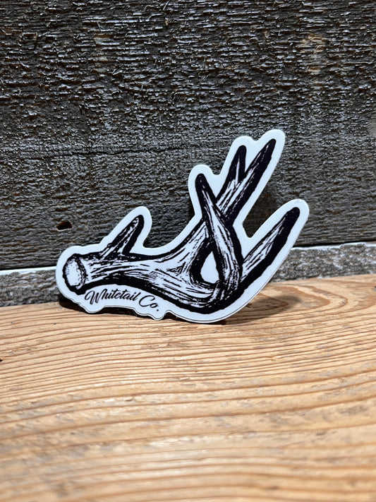 3” Whitetail Co. Shed Antler Decal