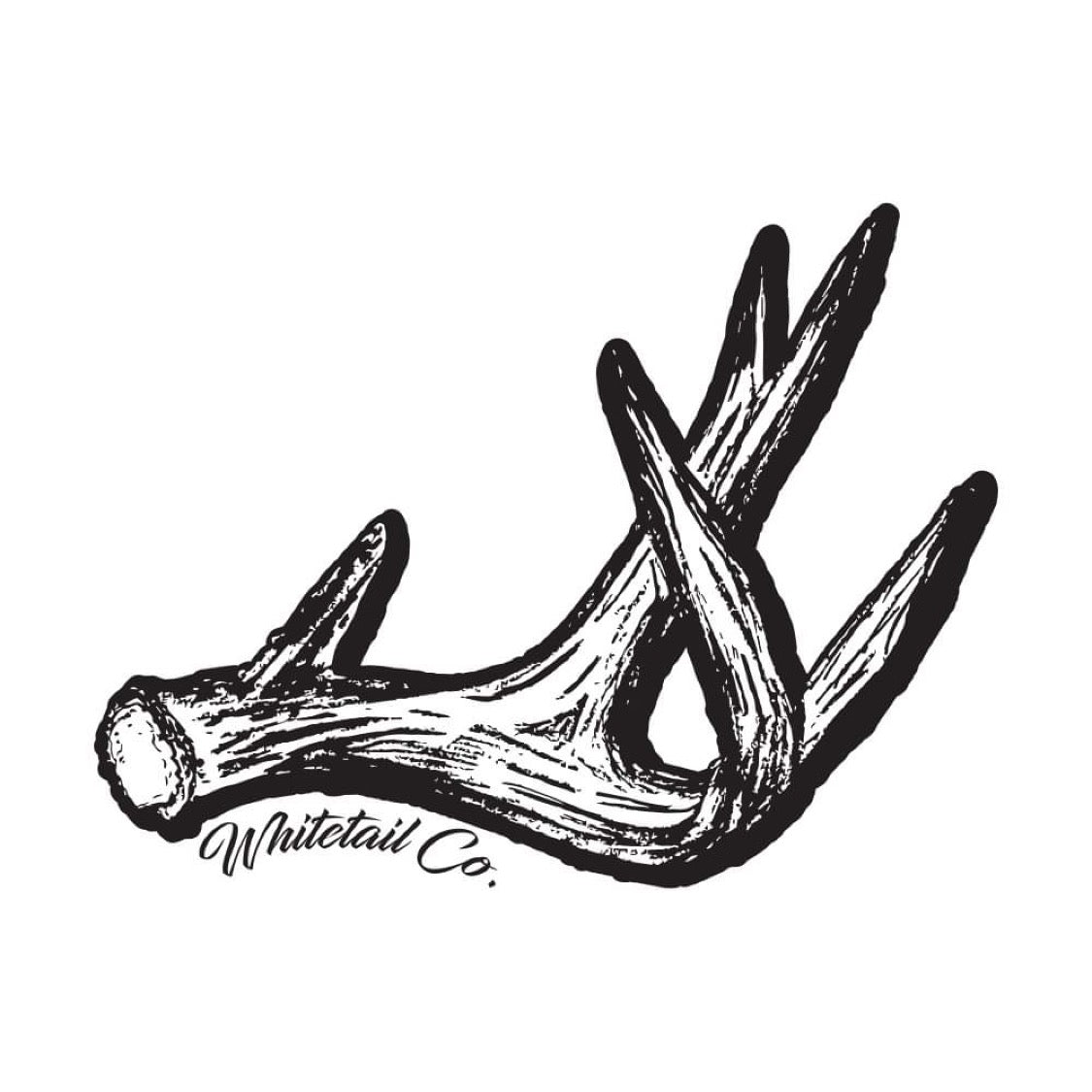 3” Whitetail Co. Shed Antler Decal